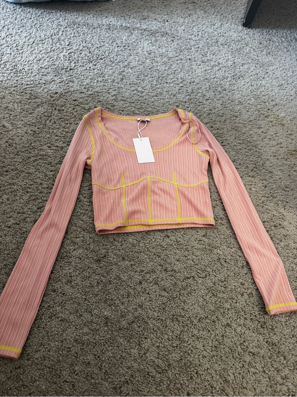 Long Sleeve Pink Crop Top